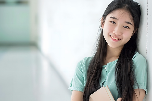 2024美术本科分数线是多少