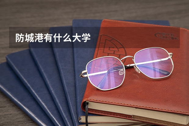 防城港有什么大学