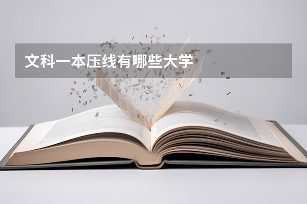 文科一本压线有哪些大学