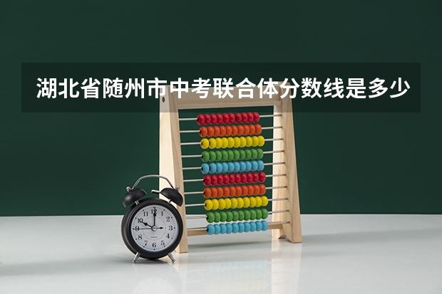 湖北省随州市中考联合体分数线是多少