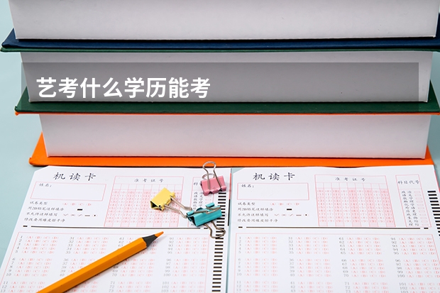 艺考什么学历能考