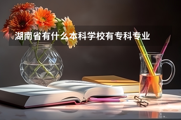 湖南省有什么本科学校有专科专业