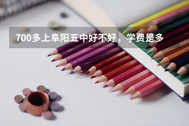 700多上阜阳五中好不好，学费是多少?有奖学金吗?听说五中是贵族学校?