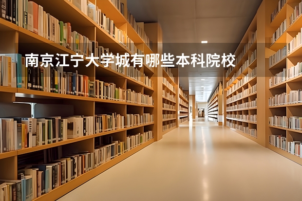 南京江宁大学城有哪些本科院校