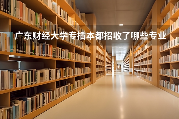 广东财经大学专插本都招收了哪些专业?