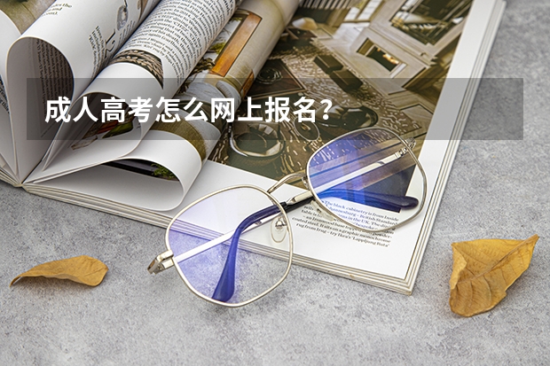 成人高考怎么网上报名？