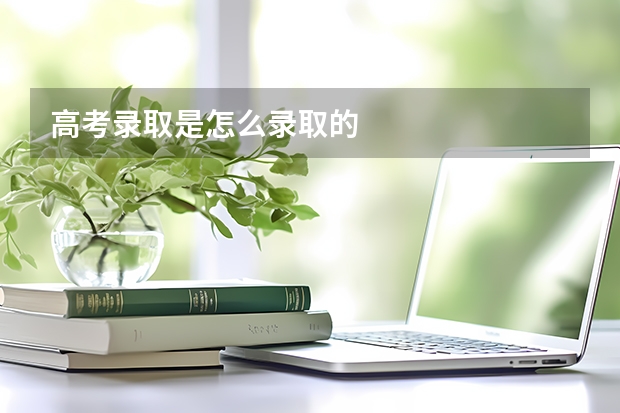 高考录取是怎么录取的
