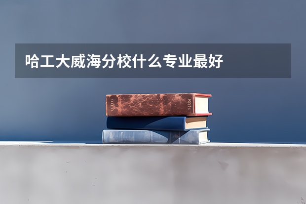 哈工大威海分校什么专业最好