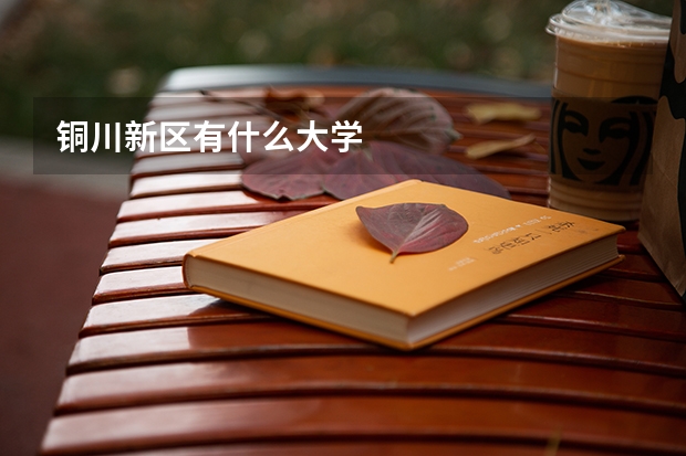 铜川新区有什么大学