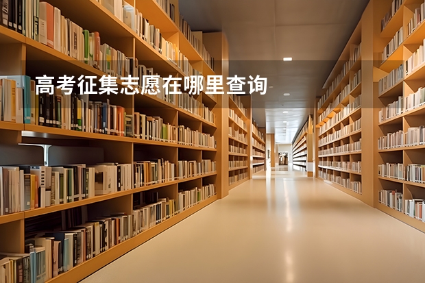 高考征集志愿在哪里查询