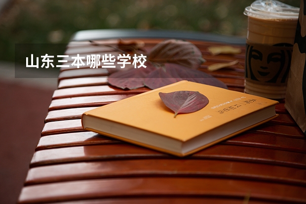 山东三本哪些学校