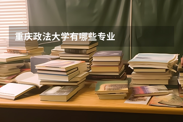重庆政法大学有哪些专业