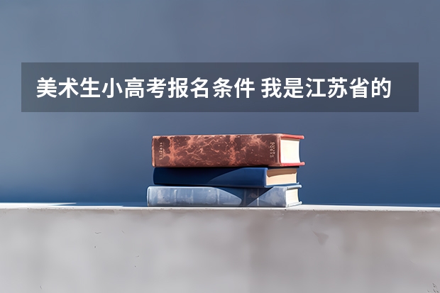 美术生小高考报名条件 我是江苏省的美术生 统考过了可是败在了小高考上面 就算我学的再好连公办大专都上不了 我觉