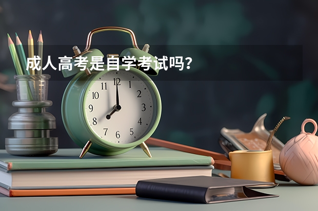 成人高考是自学考试吗？