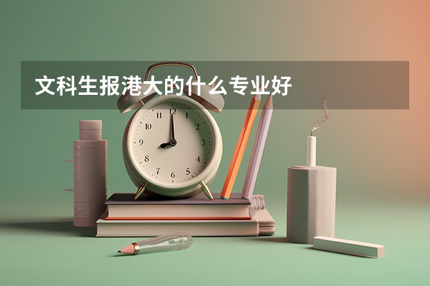 文科生报港大的什么专业好