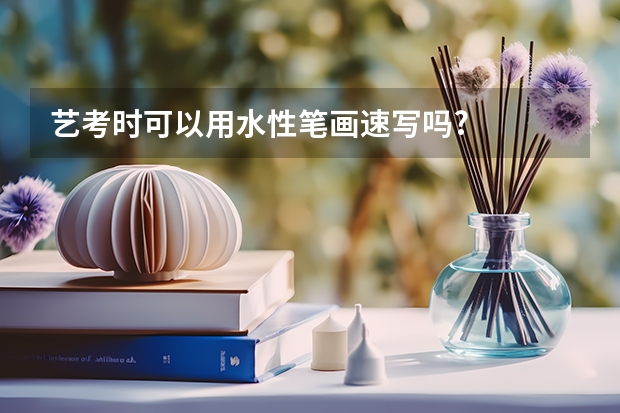 艺考时可以用水性笔画速写吗?
