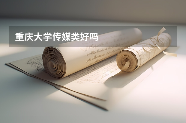 重庆大学传媒类好吗