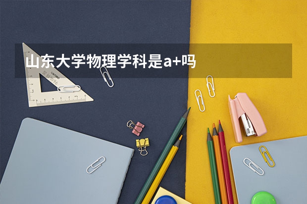 山东大学物理学科是a+吗