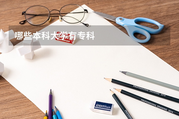 哪些本科大学有专科