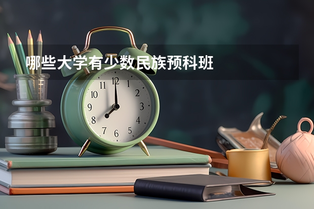 哪些大学有少数民族预科班