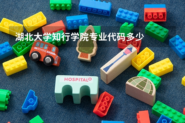 湖北大学知行学院专业代码多少