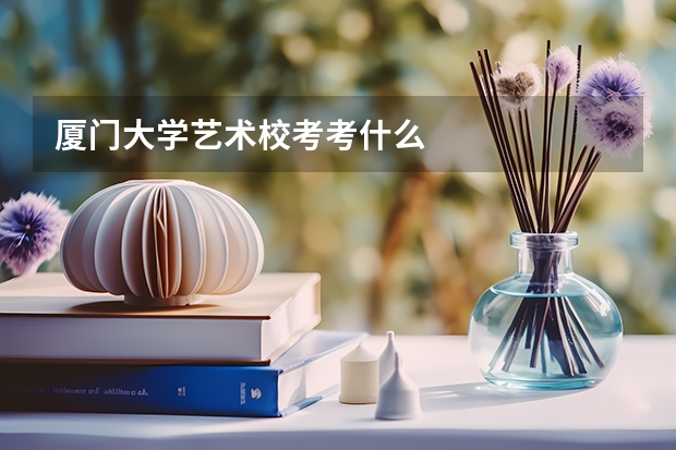 厦门大学艺术校考考什么