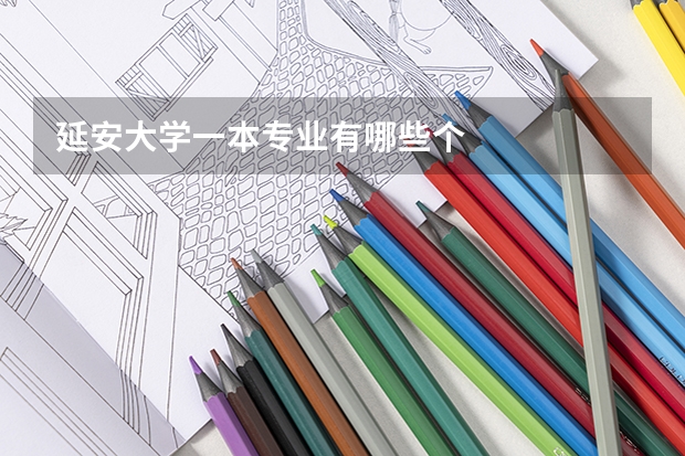延安大学一本专业有哪些个