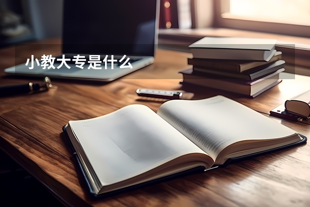小教大专是什么