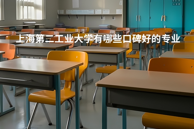 上海第二工业大学有哪些口碑好的专业值得就读？