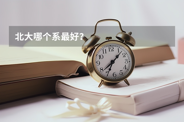 北大哪个系最好?