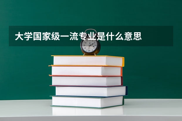 大学国家级一流专业是什么意思