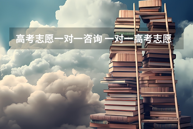 高考志愿一对一咨询 一对一高考志愿填报有什么作用