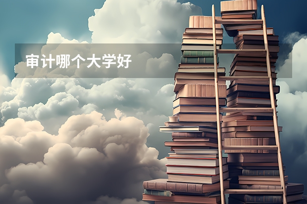 审计哪个大学好