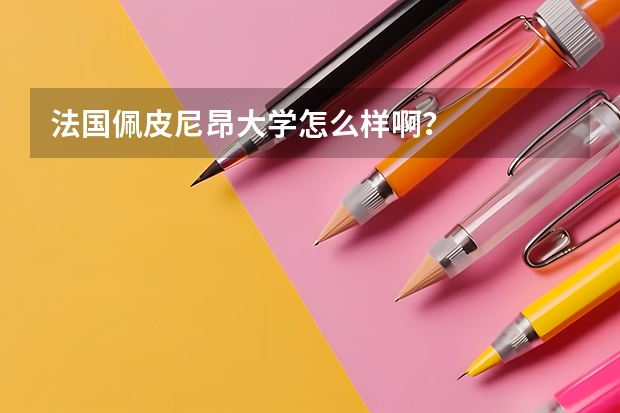 法国佩皮尼昂大学怎么样啊?