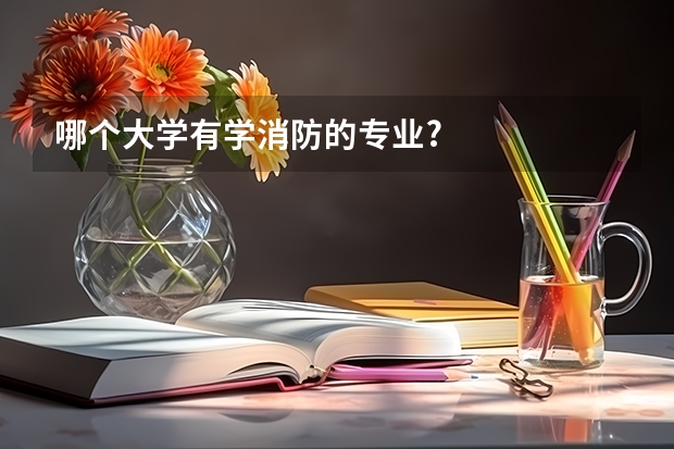 哪个大学有学消防的专业?