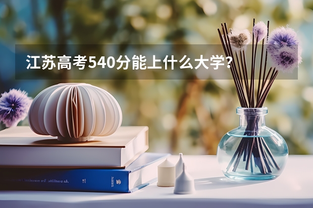 江苏高考540分能上什么大学？