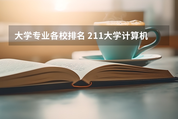 大学专业各校排名 211大学计算机专业排名
