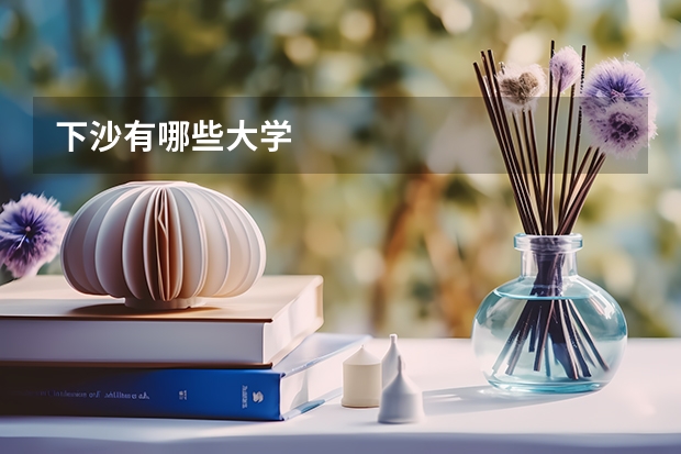 下沙有哪些大学