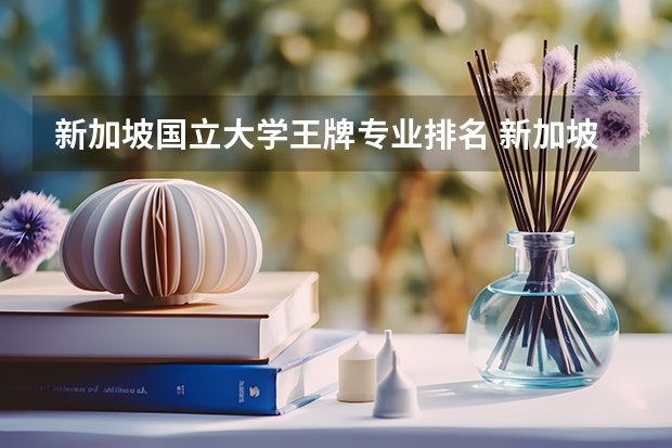 新加坡国立大学王牌专业排名 新加坡国立大学计算机专业世界排名