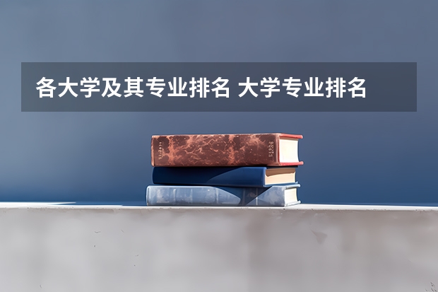 各大学及其专业排名 大学专业排名
