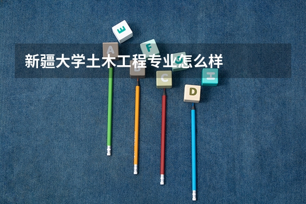 新疆大学土木工程专业怎么样