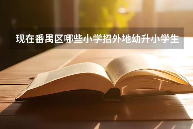 现在番禺区哪些小学招外地幼升小学生