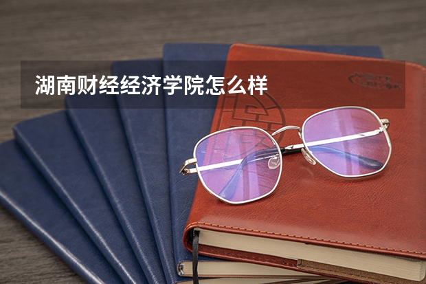 湖南财经经济学院怎么样