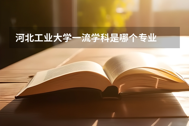 河北工业大学一流学科是哪个专业