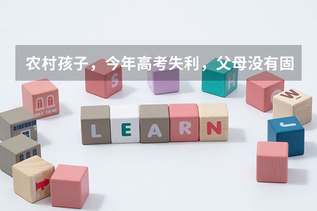 农村孩子，今年高考失利，父母没有固定收入，民办院校值得上吗？