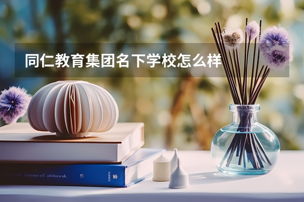 同仁教育集团名下学校怎么样