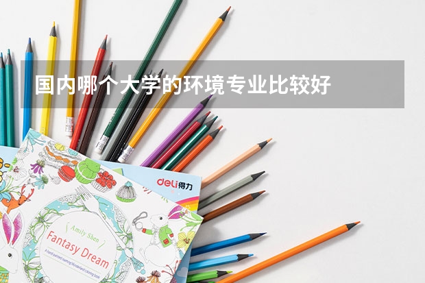 国内哪个大学的环境专业比较好