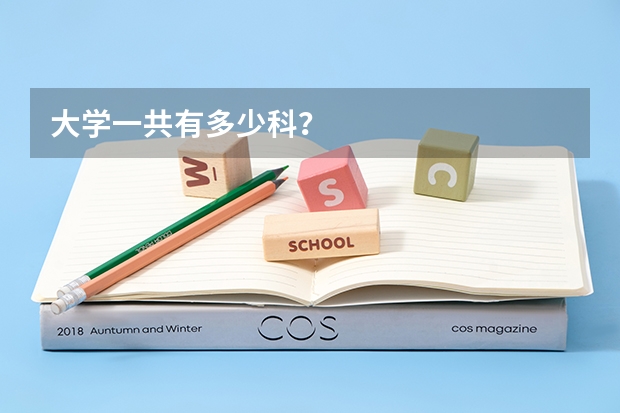 大学一共有多少科？