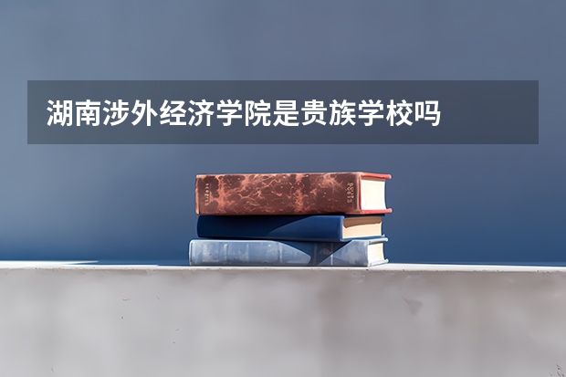 湖南涉外经济学院是贵族学校吗