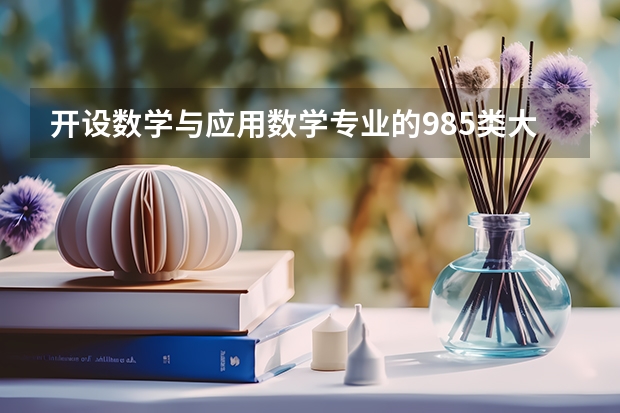 开设数学与应用数学专业的985类大学有哪些